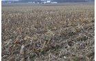 Property photo 32 - 98+/- Acres Offered in 6 Tracts or Combinations, Noble County, Indiana Farm